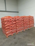 Sprzedam cebule kaliber 50/70, worek 5,10,15,25kg, odmiana Hytune, cebula z jasną łuska, przesortowana i przebrana, ilości tirowe oraz...
