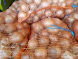 Cebula odmiany Medaillon typ rijnsburger,gruba,czysta,niefazorowana,na pakowanie lub obieranie.Luz,BB,worek.