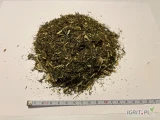 Sprzedam ziele bożego drzewka (Artemisa Abrotanum) krojone - 15 ton.