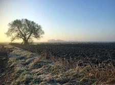 Copa-Cogeca: dyrektywa azotanowa powinna zostać niezwłocznie zmieniona