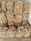 Naszykuje na piątek ziemniaka młodego odmiana riviera. Zdjęcie poglądowe z ostatniego kopania poniżej,. Worek 15kg ilość szt do...