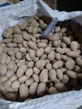 Sprzedam ziemniaki jadalne kaliber 5.5 +. Z jasnej ziemi.Opakowanie big bag. Ilości  24t.