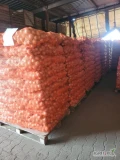 Kupię cebulę suchą w worku szytym 15 kg po 70 worków na palecie ładnie ułożone ilości tirowe odbieram z miejsca placę gotówką 