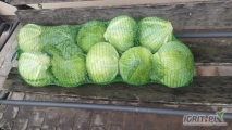 Sprzedam kapuste białą kaliber 1-4kg opakowanie karton box,skrzyniopalety luz oraz kapusta czerwona kaliber 1-3kg ilości tirowe 