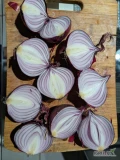 Sprzedam cebule czerwoną zdrowa sucha towar na worek luz na wannę lub worek