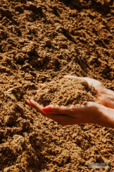 Sprzedam młóto gorzelniane, wysoka zawartość białka min. 32% w s.m., 

wytwarzane z kukurydzy wolnej od GMO.

 

 

Odbiór Murowana Goślina k. Poznania, załadunek bezpośrednio u producenta.

Ilości całosamochodowe.

Możliwa współpraca długoterminowa, całoroczna.

 

Informacje i zamówienia: Julia Borysowska, tel. 534 269 753 lub zboza@imapolska.eu