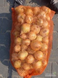 Sprzedam cebule młodą zasuszoną, opakowanie worek 10 kg lub do uzgodnienia. 
