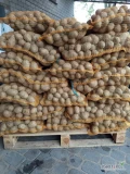 Sprzedam ziemniaki jadalne odmiany Soraja około 8 ton