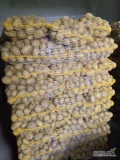 Sprzedam ziemniaki odmiana Volumia. Kaliber 4.5+. Ilości paletowe. 