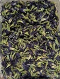  Kwiat groszku motylkowego (Butterfly Pea) – suszony | 42 zł