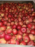 Sprzedam jabłko Evelina - 84 skrzyń, Idared - 49 sk. , Supra - 32 sk., Gloster - 105 sk. 
