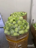 Oferujemy białą kapustę i czerwoną kapustę bezpośrednio z farmy w największych ilościach. Eksportujemy w opakowaniach 1-2,5 kg oraz...