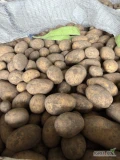 Sprzedam ziemniaki odmiana Lili, Soraya opakowanie worek 15 kg lub big bag ilości tirowe