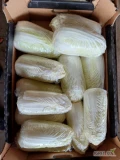Kapusta pekińska 10kg karton