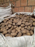 Witam, do sprzedania ziemniaki odmiana Melody. Towar ładny gruby zdrowy. Przesortowany od 50+, możliwość naszykowania 55+. Opakowanie...