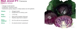 Red Jewel F1(j.2 500n) nasiona kapusty czerwonej firmy SAKATA oferuje GEPWEG dystrybutor nasion. Dostawa gratis. Płatność przy odbiorze....