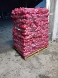 Sprzedam piękna cebulę czerwona kaliber 5+ ładny gruby suchy towarek pakowany w worek lenko 5 kg ukladany na palecie. Cena 1 zł kg....