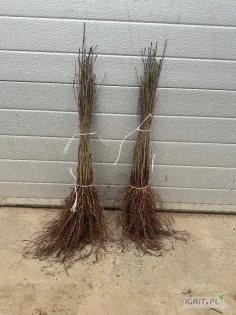 Witam, posiadam na sprzedaż duże ilości podkładki Antypki(popiel). Ok. 100tys sztuk.

Cena 0.30zł do negocjacji.

W ofercie posiadam także różne odmiany drzewek jabłoni.

Pozdrawiam 