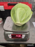 Kupię kapustę białą handlową kaliber 1 kg - 4 kg w w karton boks czysta  ładna na eksport  proszę o oferty cenowe ilości tirowe 