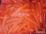 Sprzedam marchew po polerce worek szyty 10 kg raszel 