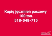 Kupię jęczmień paszowy 200 ton. Proszę o kontakt telefoniczny 518-048-715