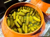 Sprzedam ogórki kiszone beczkowe 6-9 9-12 i przecierowe. Cena do uzgodnienia 