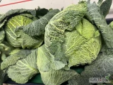 SPRZEDAM Kapustę włoską z liściem. Kaliber 1-2.5kg. 