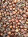 Sprzedam cebulę drobną kaliber 4-5 do pakowania obierania cebula fazorowana 