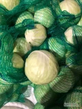 Sprzedam kapustę. 1,5 kg-3,5 kg. Worek 25 kg. Ilosci tirowe