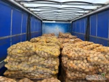 Mam na sprzedaz ładne ziemniaki Soraya 
