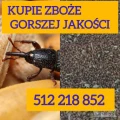 Kupię rzepak również zanieczyszczony gorszej jakosci szybki odbiór i płatność po załadunku 
