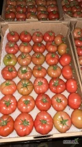 Witam, sprzedam pomidora malinowego. Dostępna ilość 33 palety, możliwy odbiur od 23 luty. Zapraszamy do stałej współpracy.