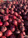 Sprzedam cebulę czerwoną kaliber5-7 6-8 worek 5/10 kg cebula fazorowana zdrowa 