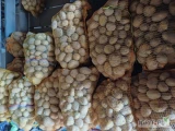 Ziemniaki jadalne riwiera 35mm+