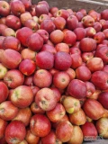 Sprzedam jabłko prins za wagę w skrzyni
