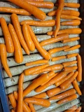 Sprzedam marchew ilości tirowe kal 2-4cm worek szyty