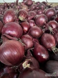Sprzedam cebulę czerwoną kaliber 5-8 worek 5-10 kg bigbag luz ilości tirowe i paletowe Cebula fazorowana 