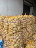 Sprzedam ziemniaki jadalne, koło Sieradza 