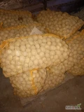 Witam mam do sprzedania ziemniaki w rozmiarze 