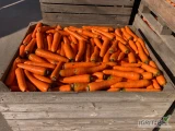 Sprzedam marchew grubą, ilości wielotonowe, cena 1 zł, zainteresowanych zapraszam do kontaktu pod numerem telefonu 517 134 539.